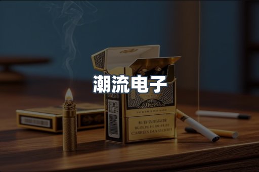 潮流电子