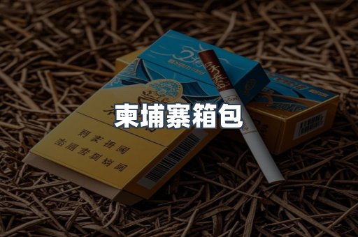 柬埔寨箱包